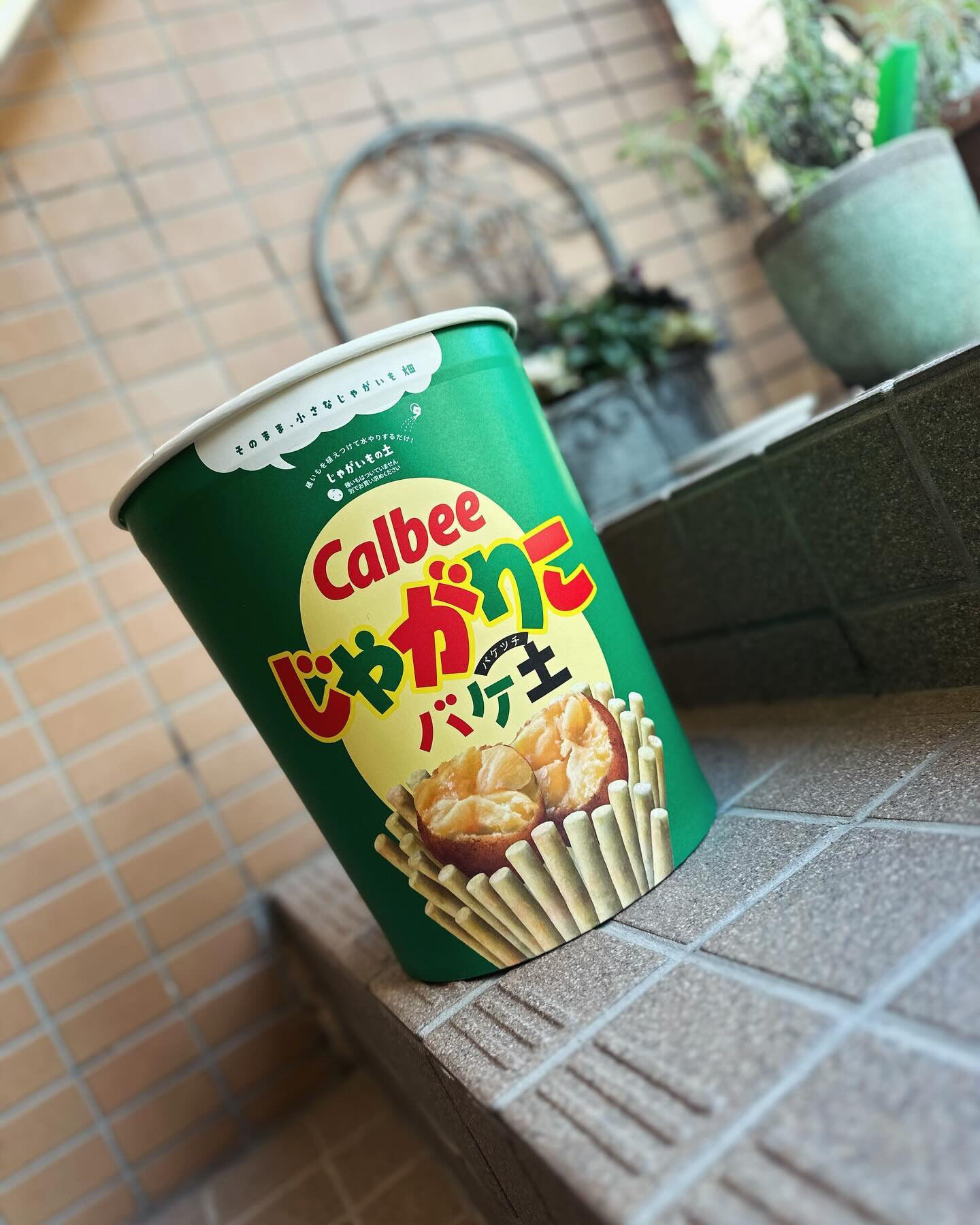 こんにちは😊
