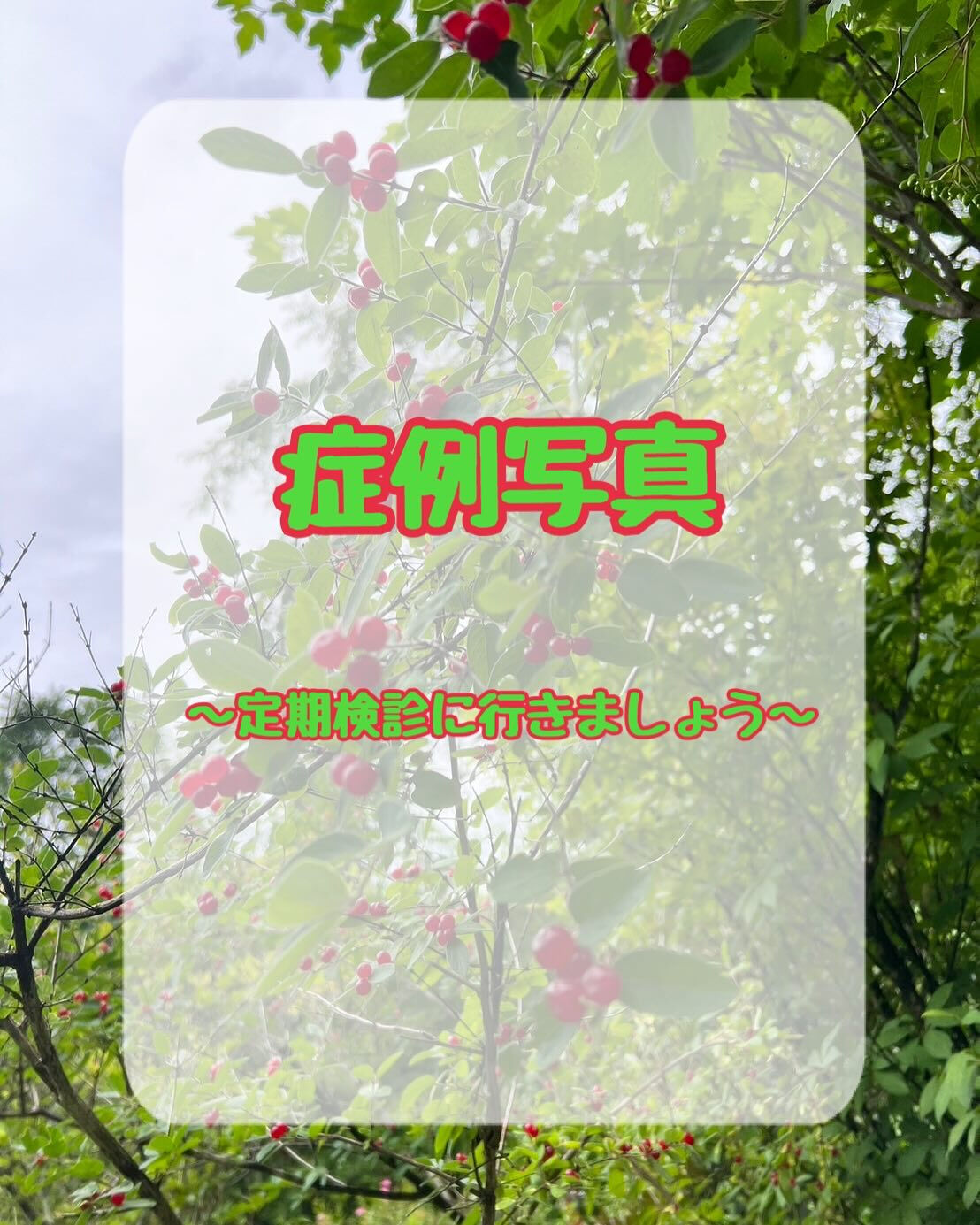 症例写真