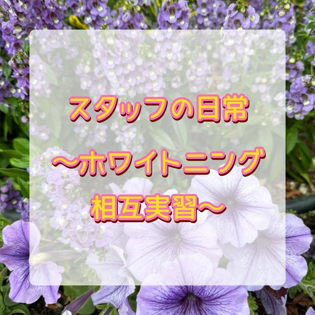 こんにちは😊