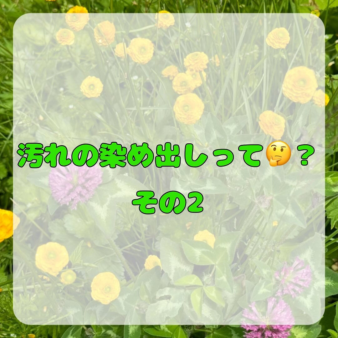 前回の染め出しの続きです🫡