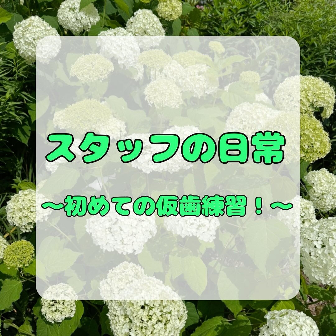 こんにちは✨