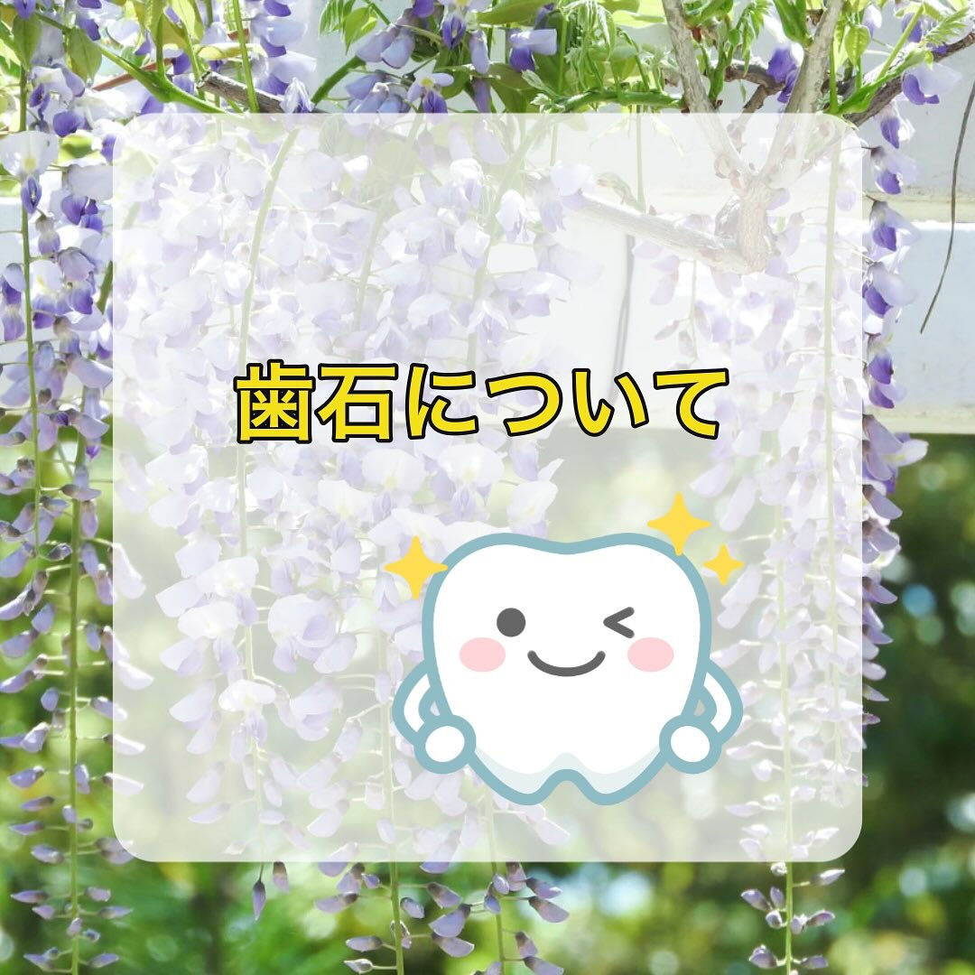 以前歯石のお話をしましたが、今回もその続きになります☝️