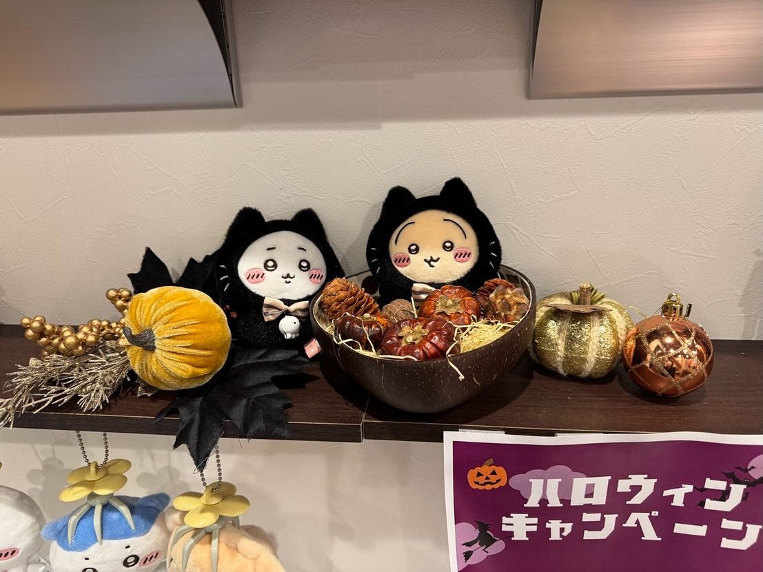 ハロウィンが終わってしまったので可愛い飾りたちともしばらくお...