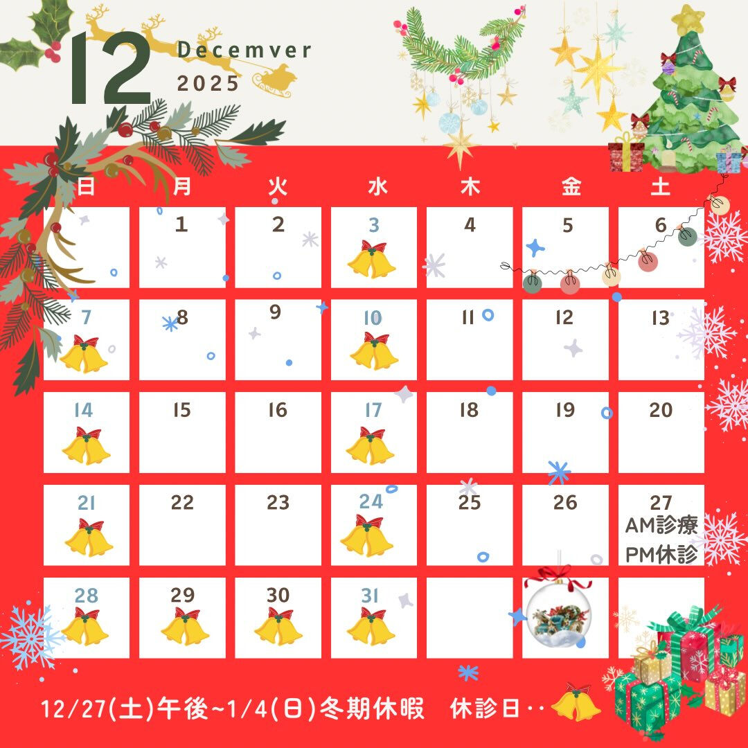 12月の診療カレンダーです❄️⛄️