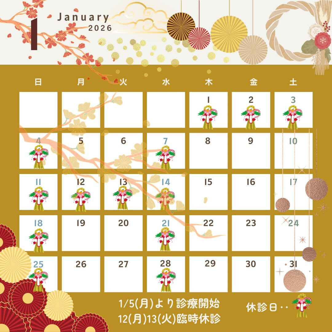 🎍1月の診療のお知らせ🎍