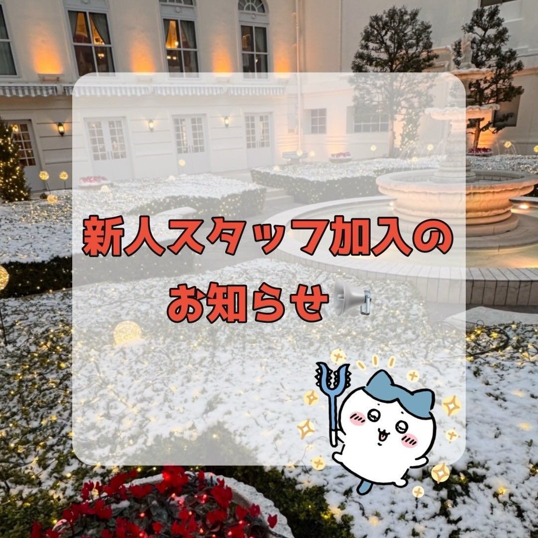新人スタッフが数名加入しております🍀