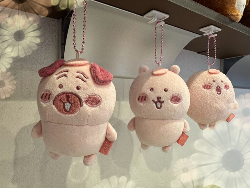 少しづつ寒さが和らいで来ましたね🌸