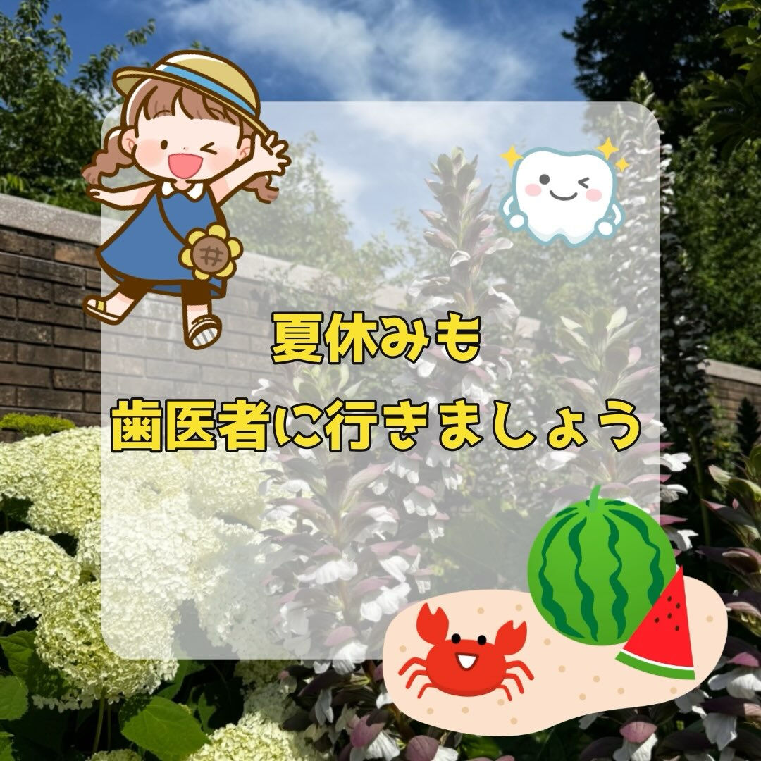 こんにちは😊