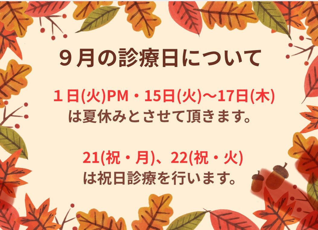 こんにちは！