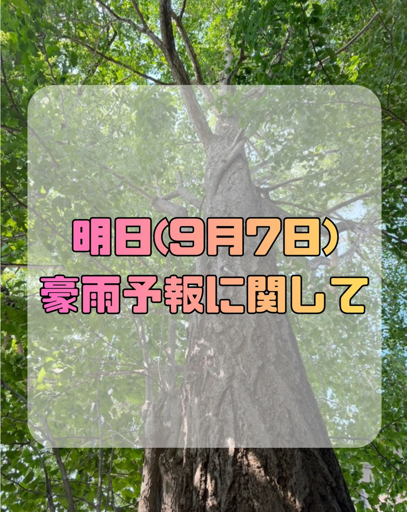 本日未明から明日にかけ、関東地方に豪雨予報が出ております☔️
