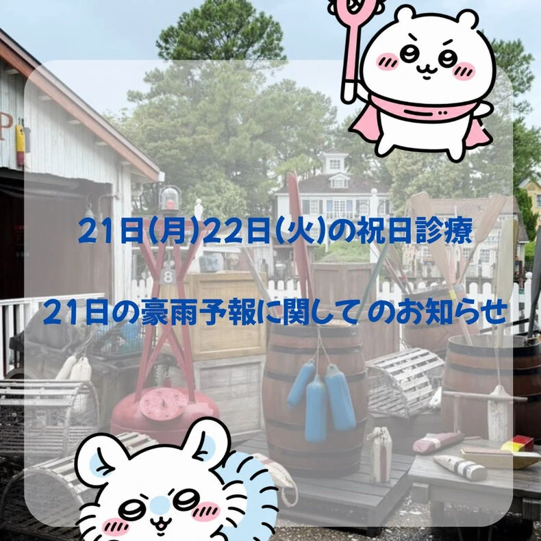 画像2299：本文
