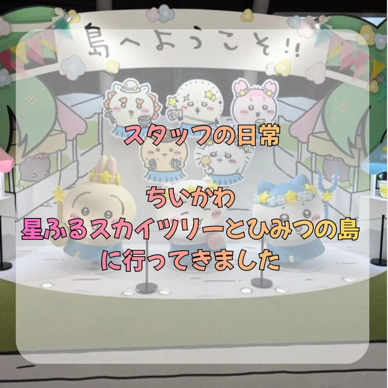 画像2313：こんにちは✨