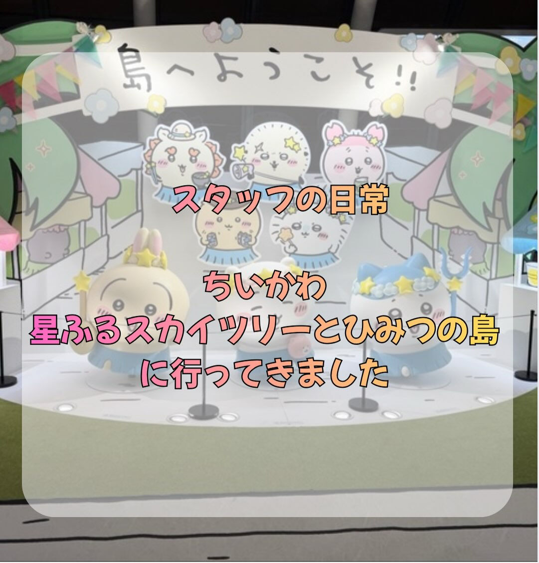 こんにちは✨
