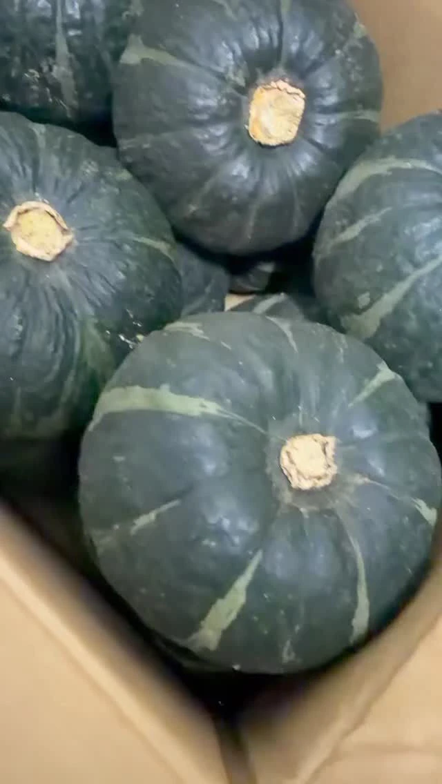 とても立派な北海道産坊ちゃんかぼちゃを頂きました🎃