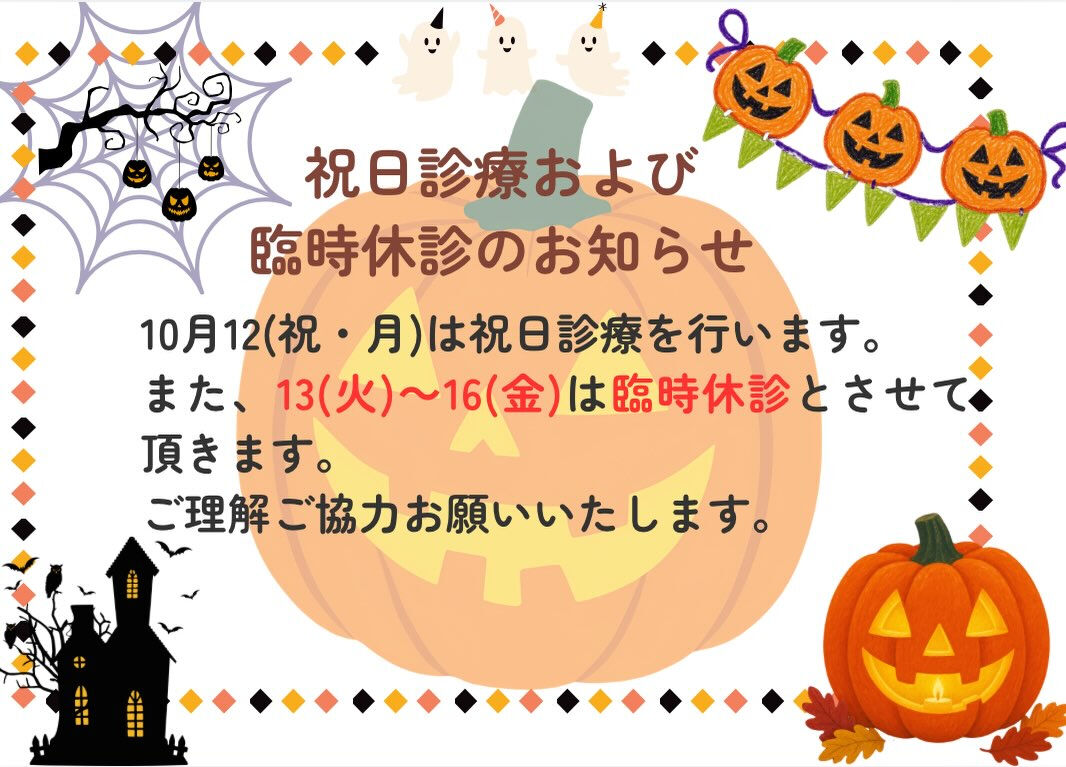 こんにちは！