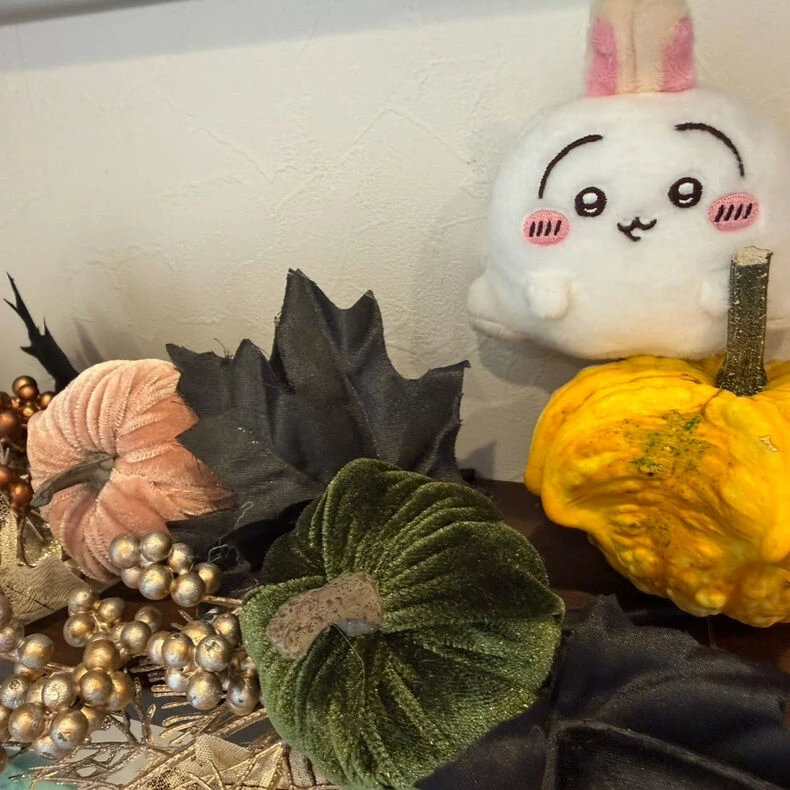 画像2342：明日から4日間、臨時休診です🎃