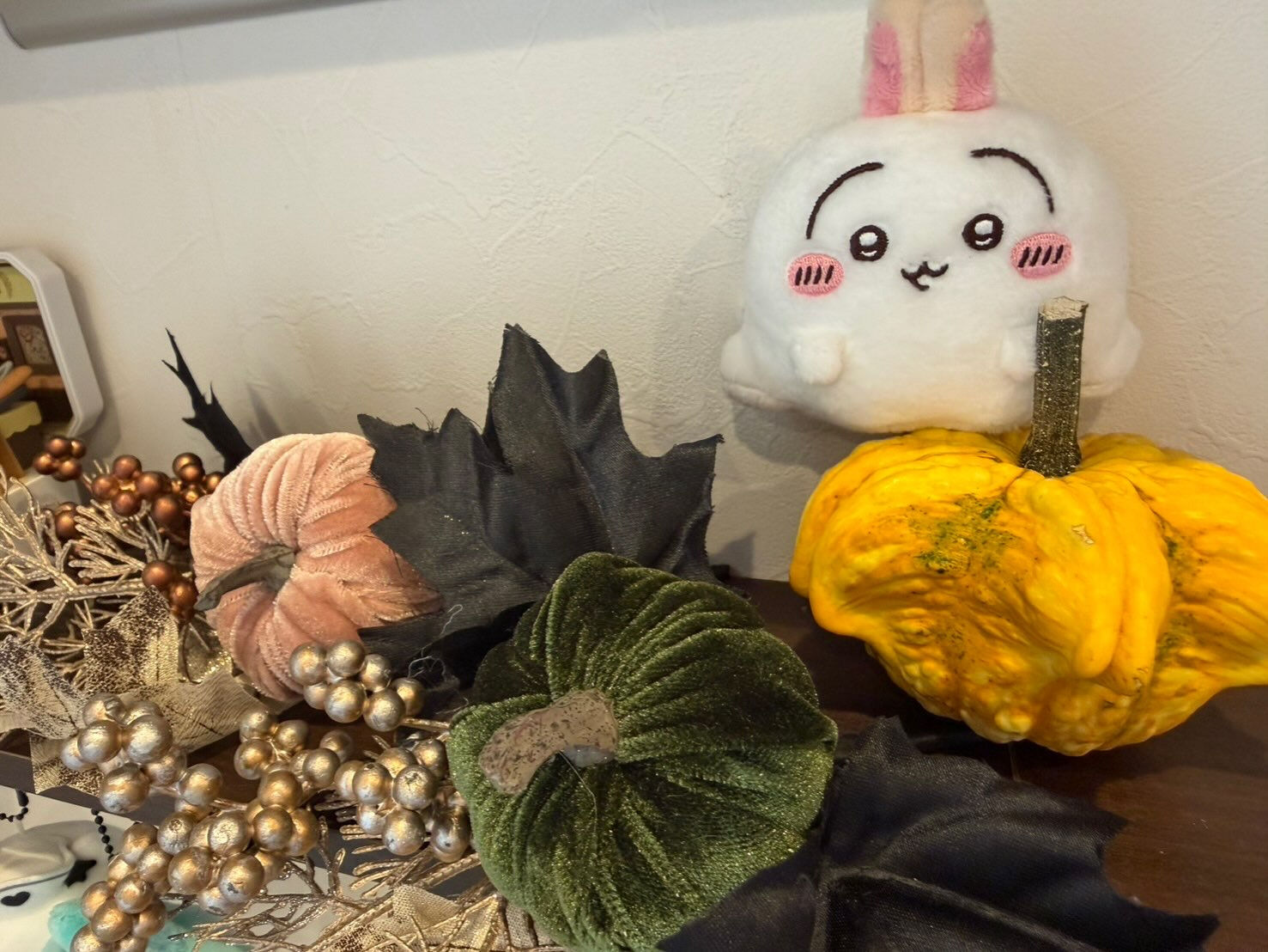 明日から4日間、臨時休診です🎃