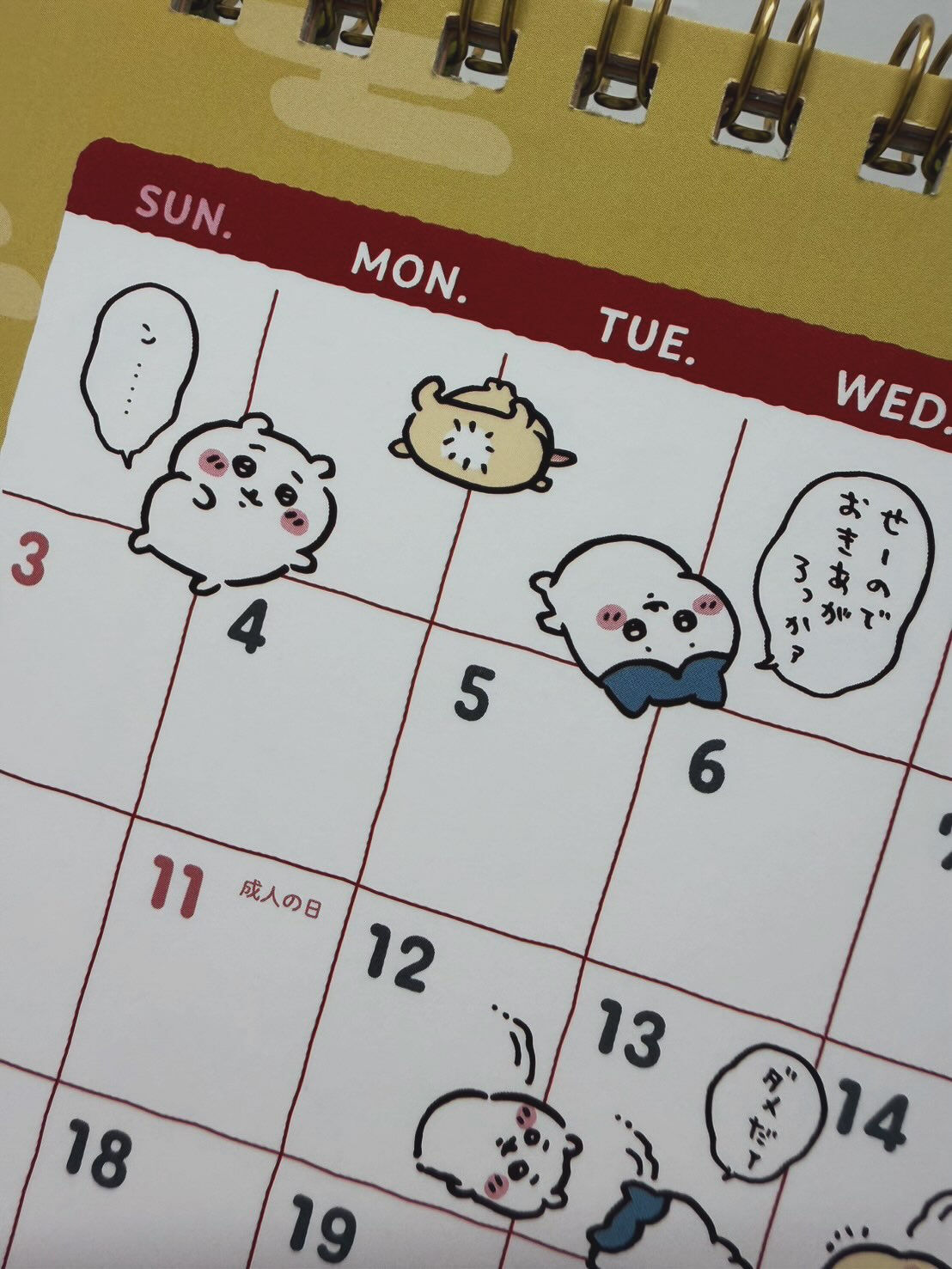 来年度に使うカレンダーが届きました🎁✨