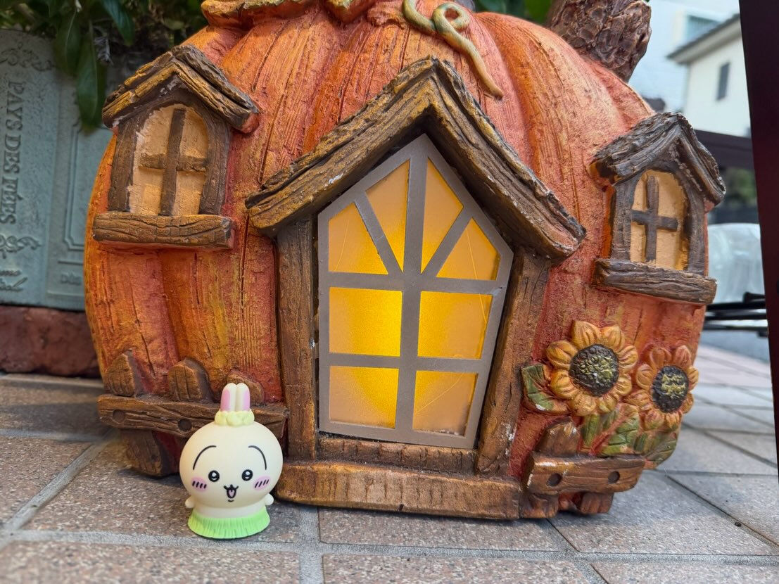 いよいよ明日はハロウィン当日ですね🎃✨