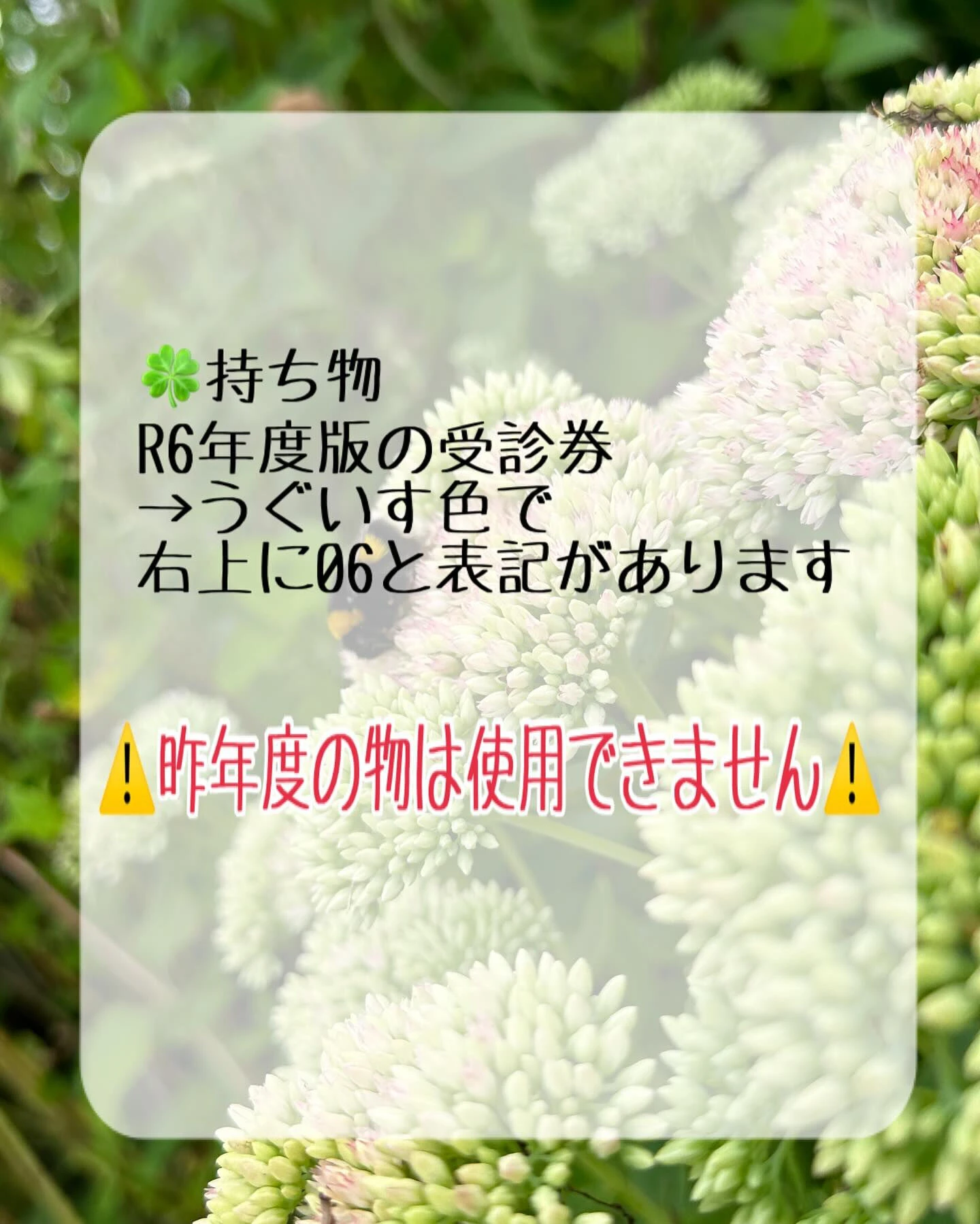 R6年度・板橋区成人歯科検診について