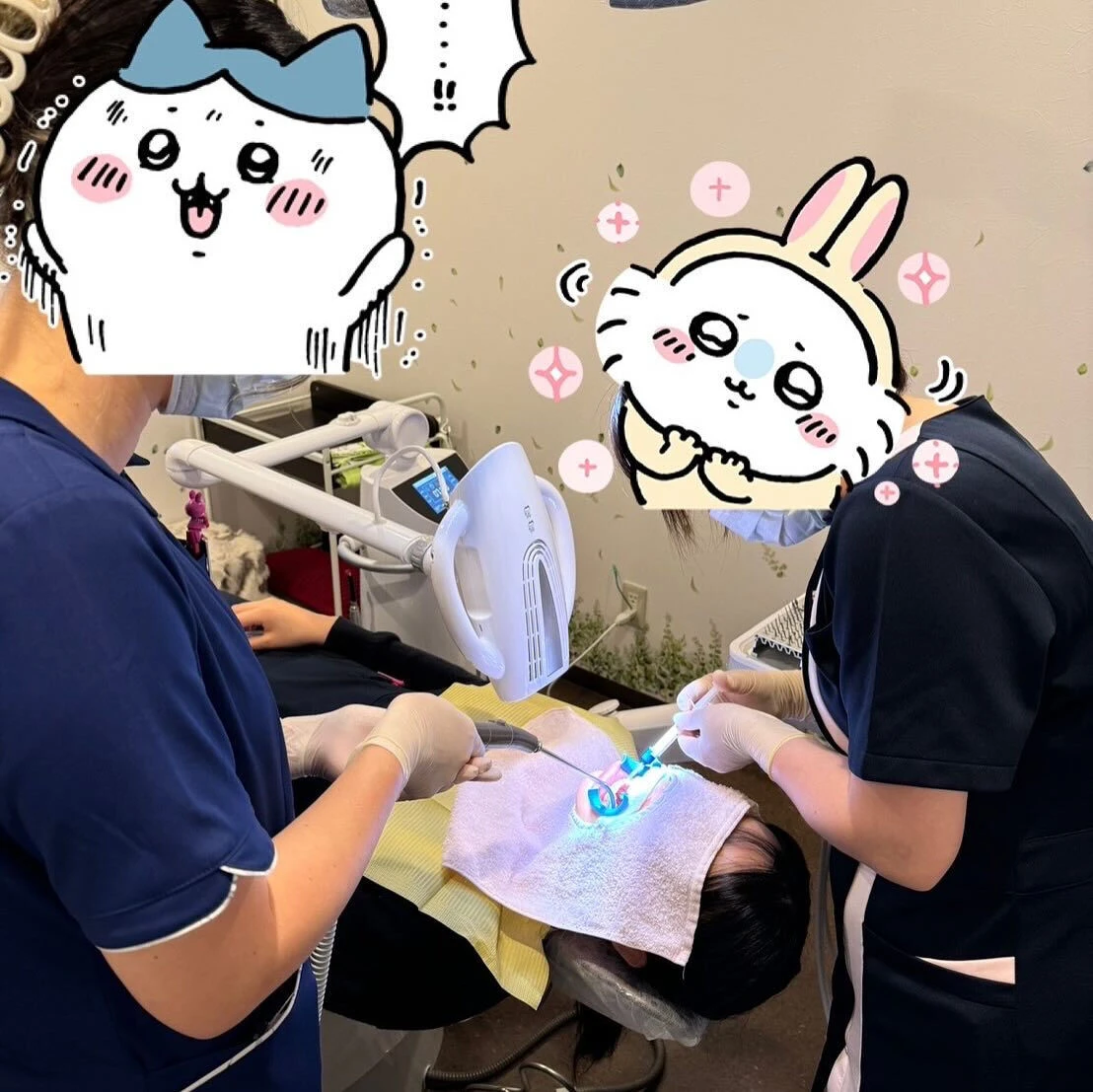 こんにちは😊