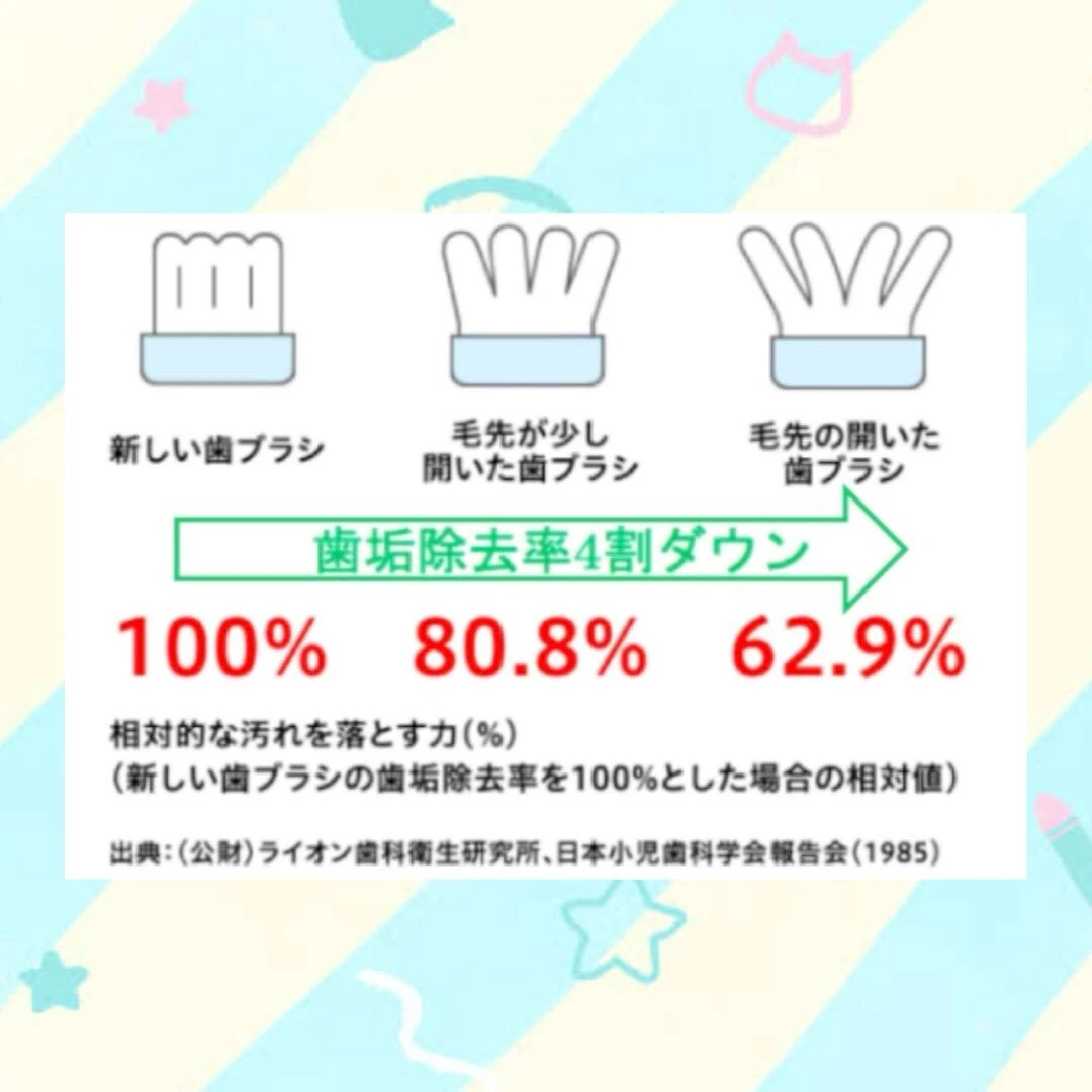 こんにちは😊
