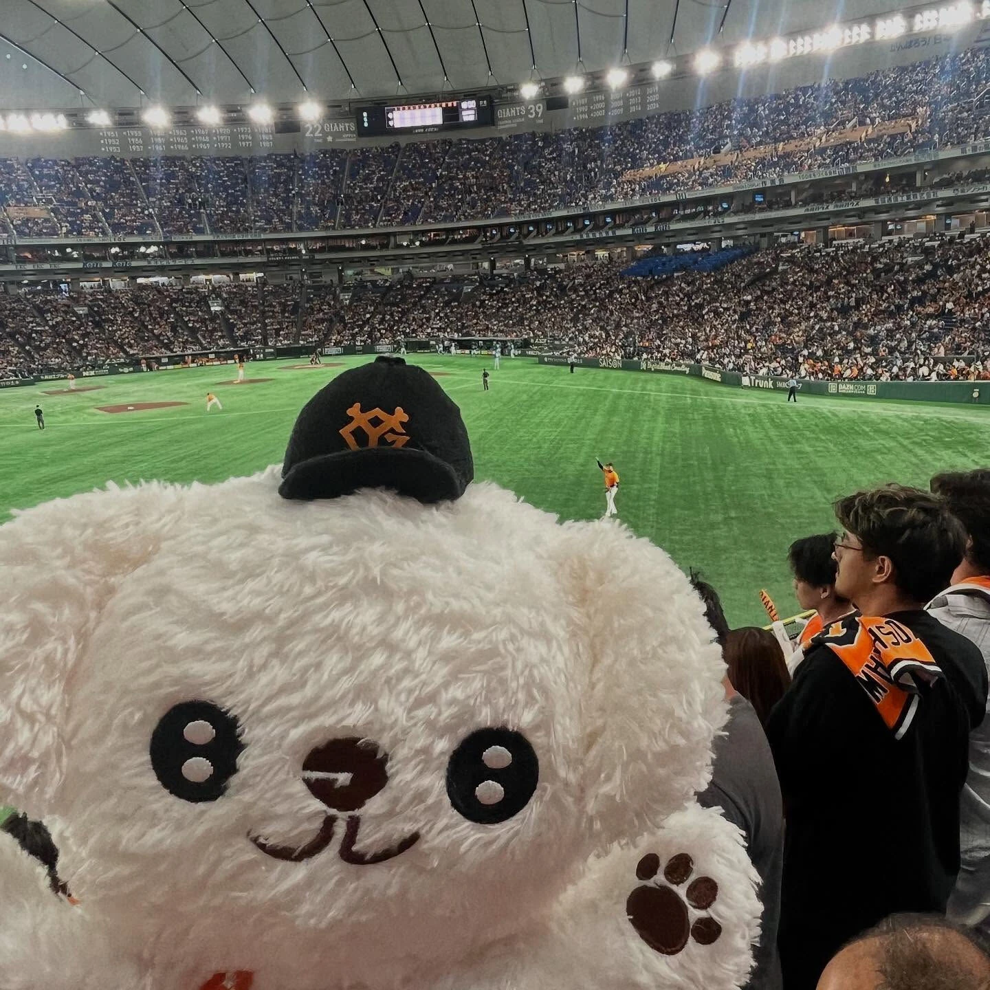 先日巨人×日本ハムの交流戦に行ってきました⚾️