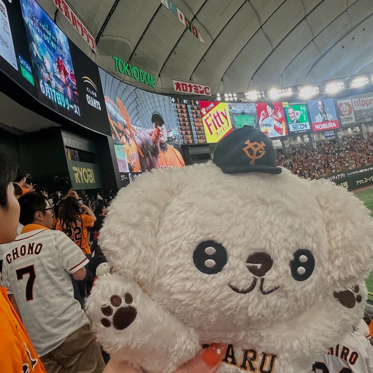 先日巨人×日本ハムの交流戦に行ってきました⚾️