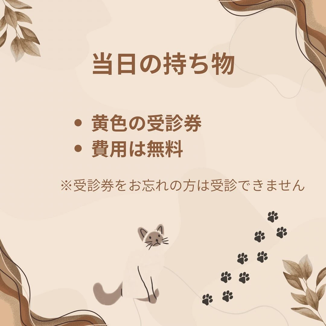 R7年度・板橋区後期高齢者歯科検診について