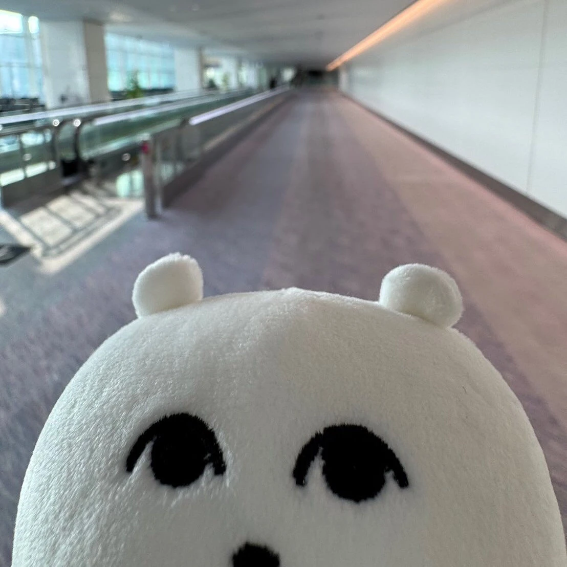この前の北海道弾丸旅行 後編です🐟