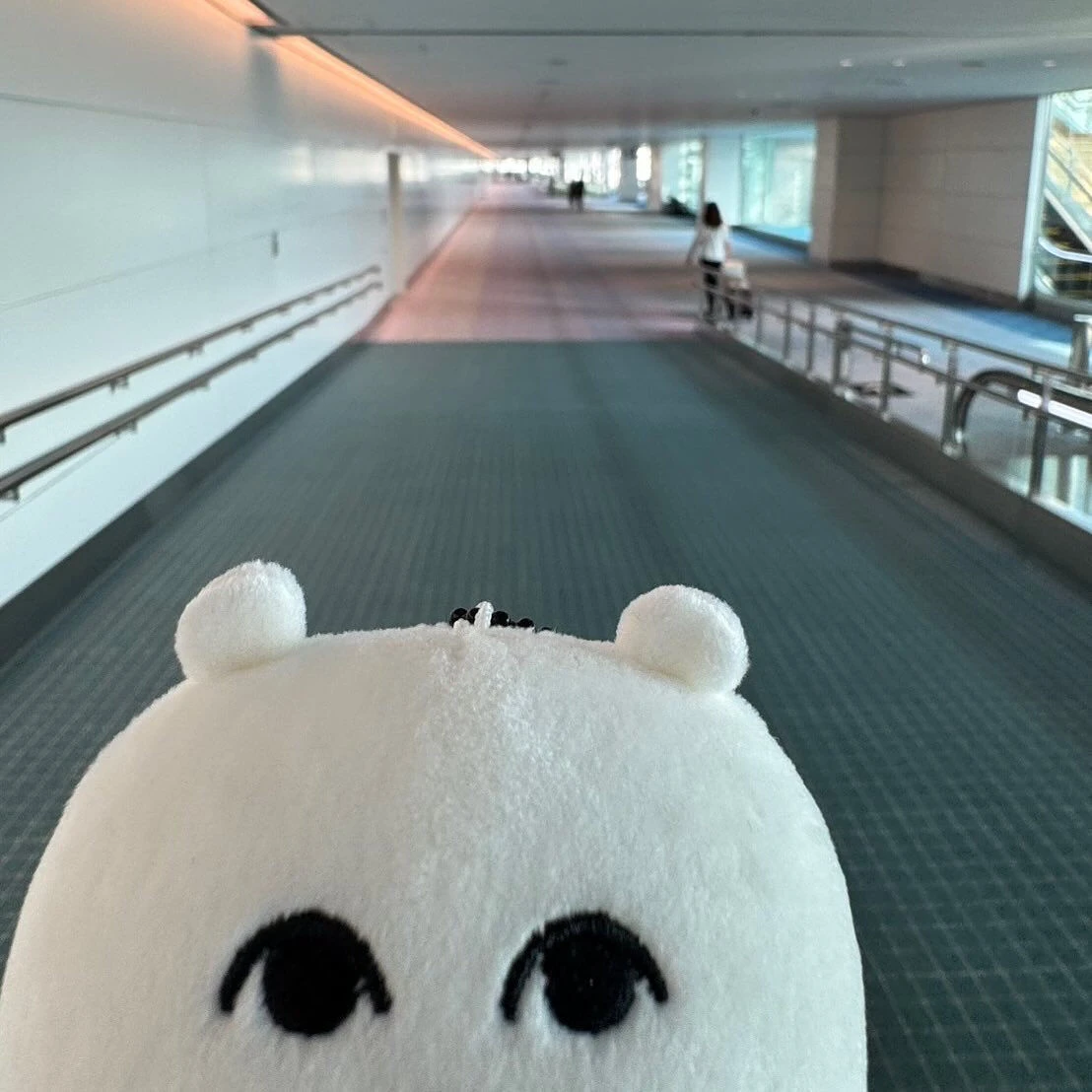 この前の北海道弾丸旅行 後編です🐟