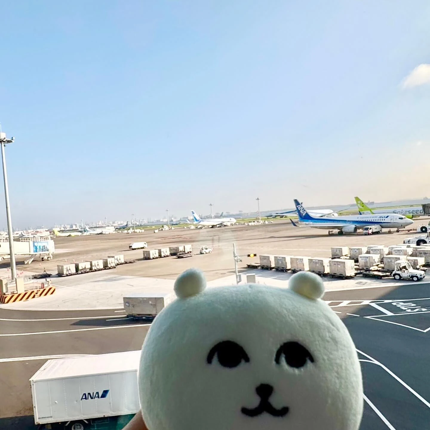 この前の北海道弾丸旅行 後編です🐟