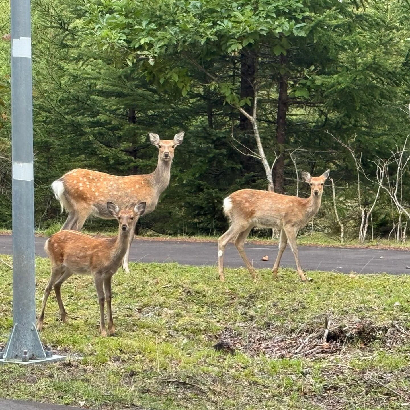 この前の北海道弾丸旅行 後編です🐟