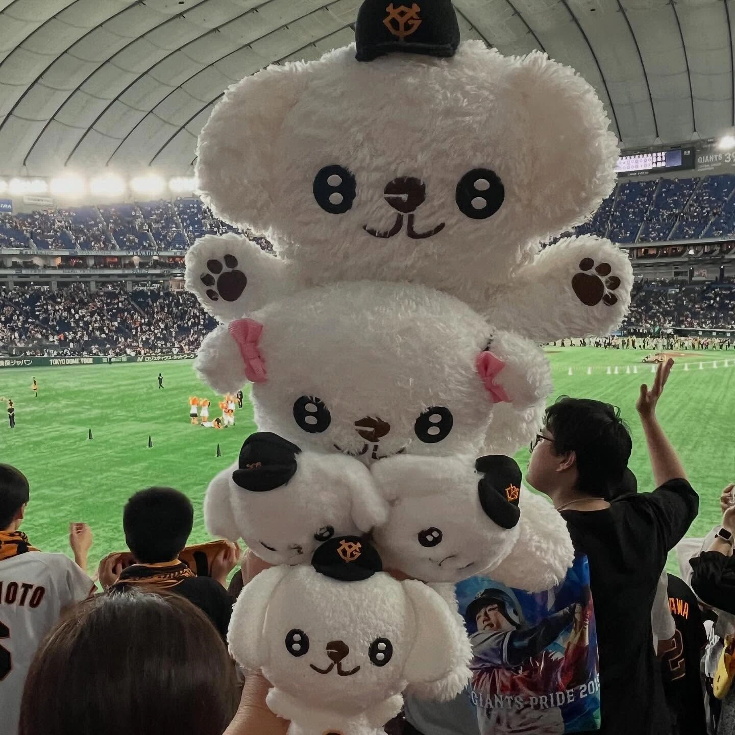 先日、巨人✖️中日の試合を観に行きました⚾️