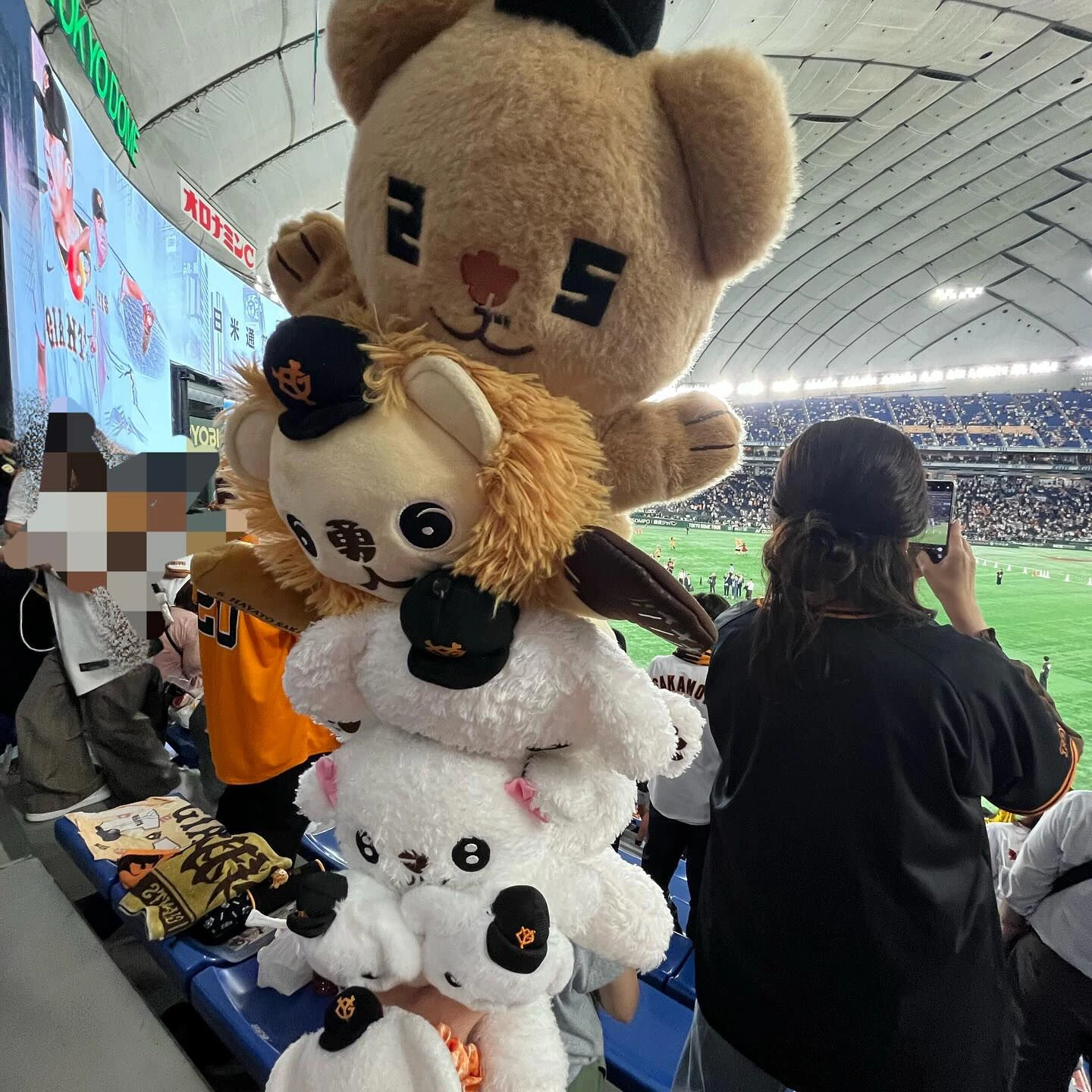 先日、巨人✖️中日の試合を観に行きました⚾️