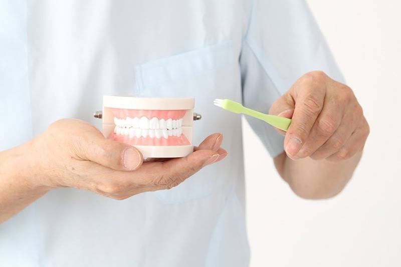 歯や歯茎の健康を支える予防歯科