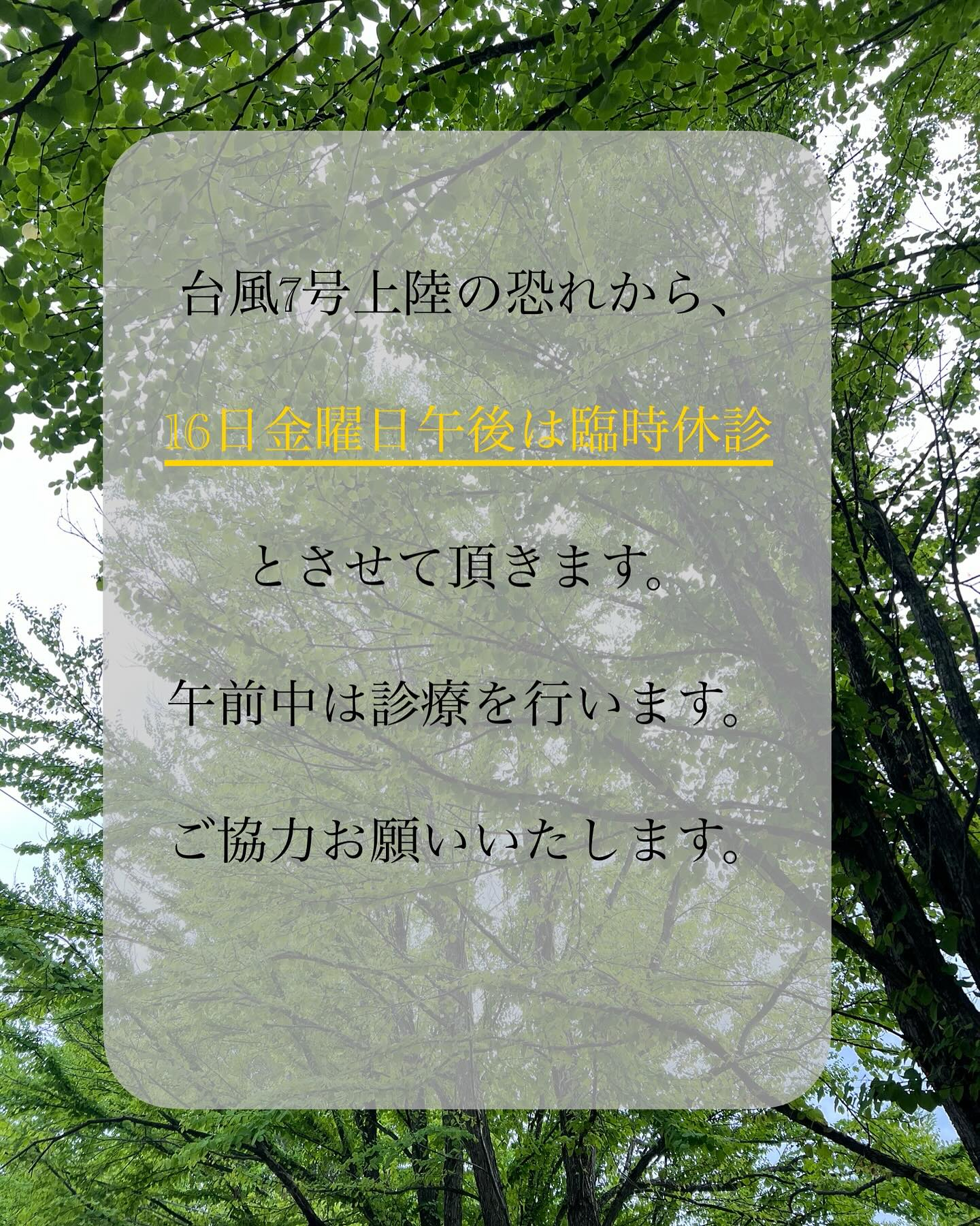 平素よりご来院いただきましてありがとうございます。