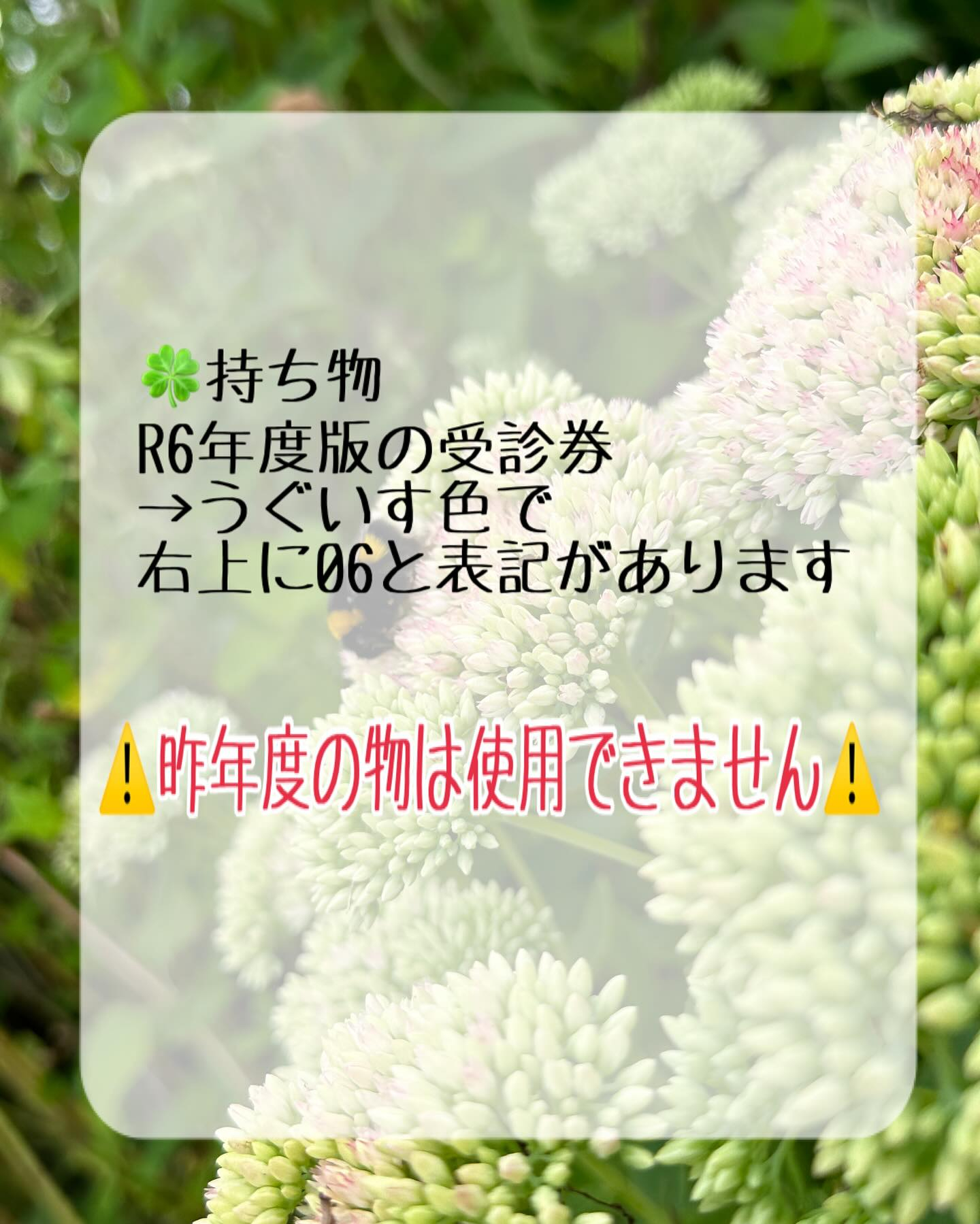 R6年度・板橋区成人歯科検診について