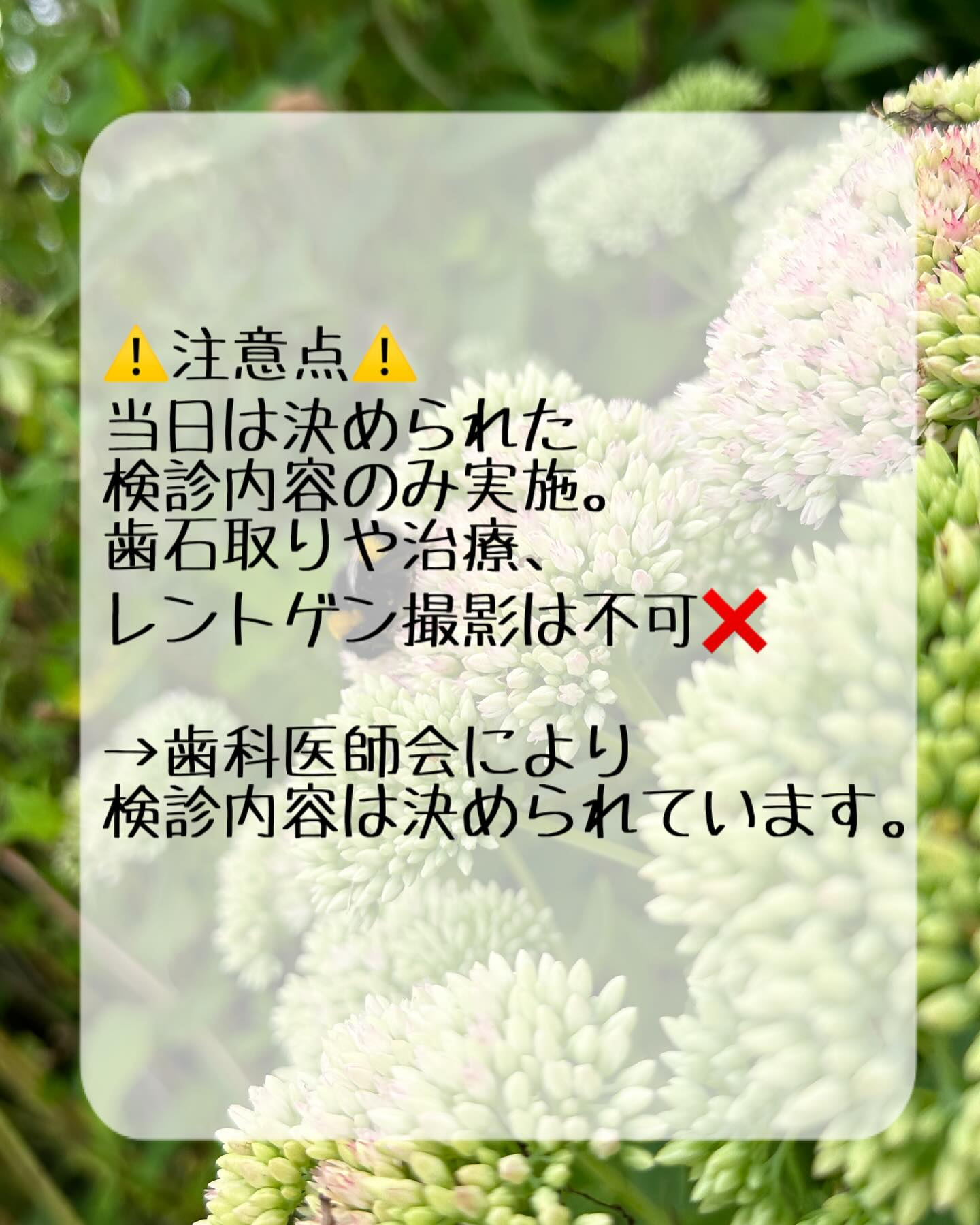 R6年度・板橋区成人歯科検診について