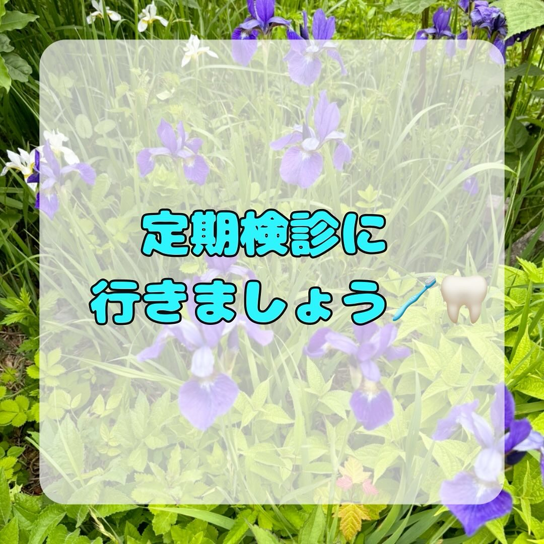 板橋区で実施している成人歯科検診を機に来院された患者さんです...