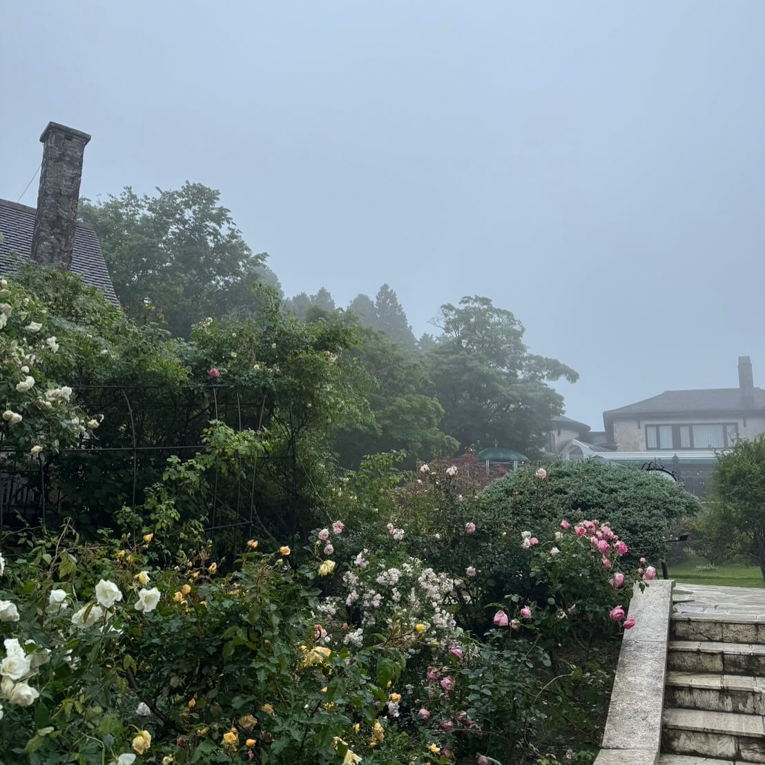 箱根ガラスの森美術館に行ってきました🇮🇹✨