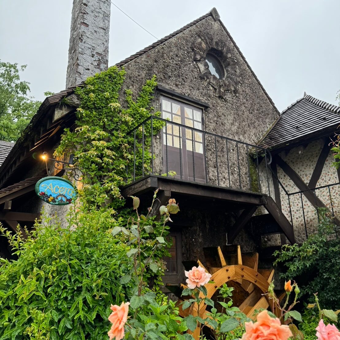 箱根ガラスの森美術館に行ってきました🇮🇹✨