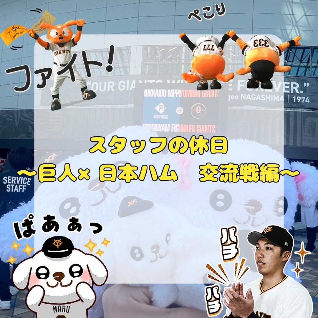 先日巨人×日本ハムの交流戦に行ってきました⚾️
