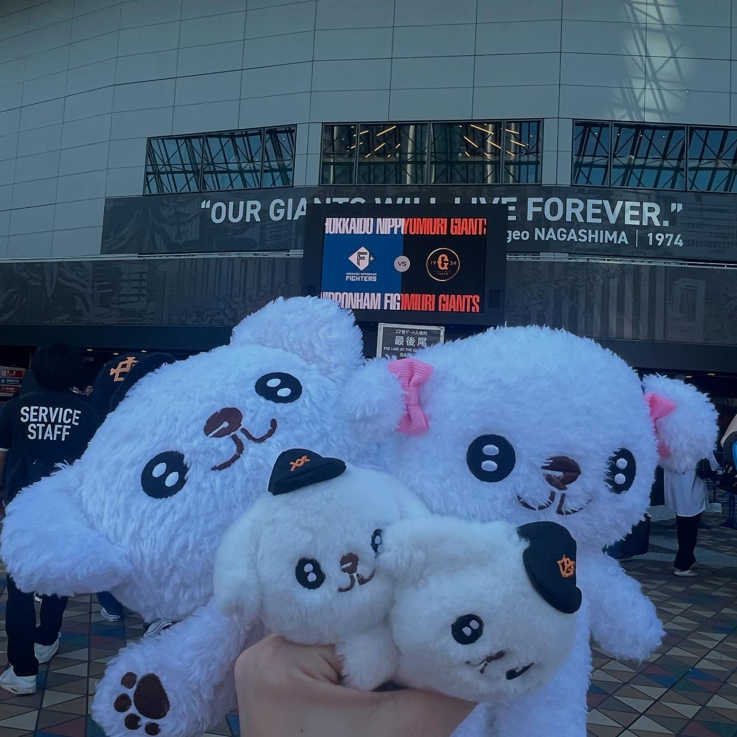 先日巨人×日本ハムの交流戦に行ってきました⚾️