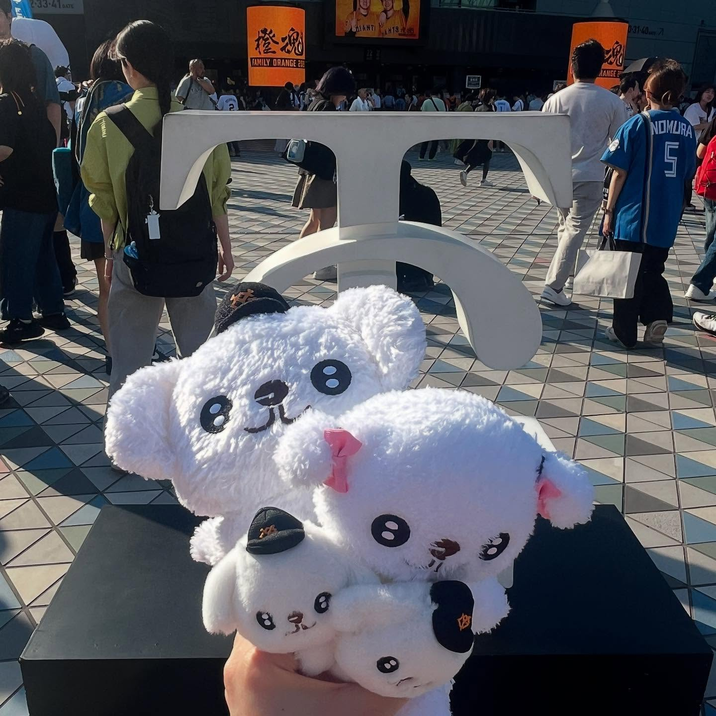 先日巨人×日本ハムの交流戦に行ってきました⚾️