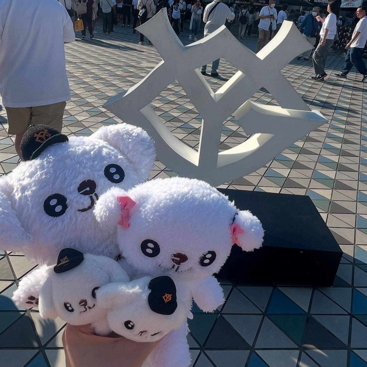 先日巨人×日本ハムの交流戦に行ってきました⚾️