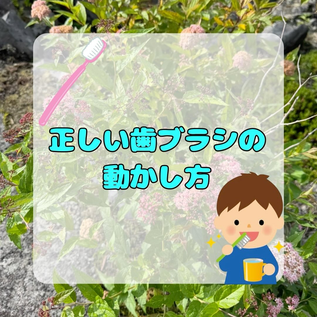 Q，歯ブラシの正しい動かし方は？？