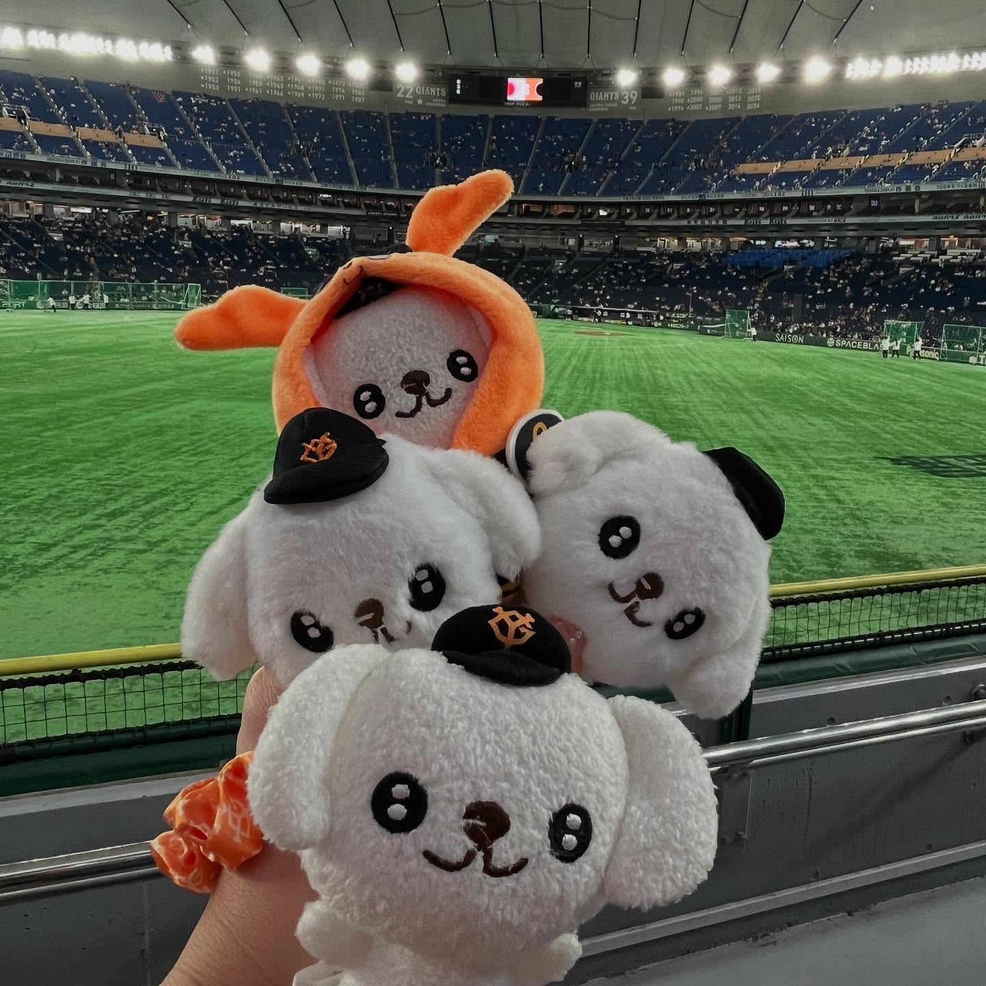 先日巨人×広島の試合に行ってきました！