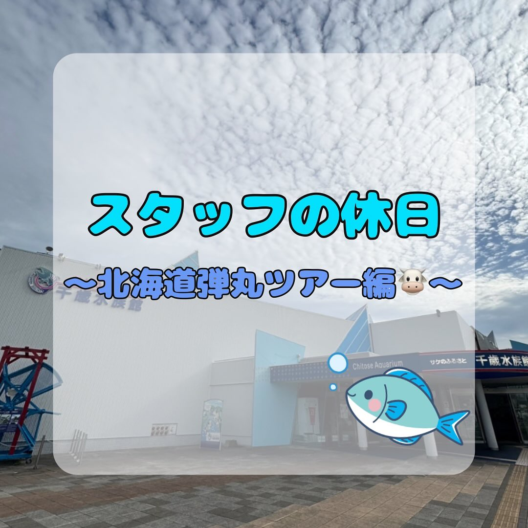 北海道弾丸ツアー🐮