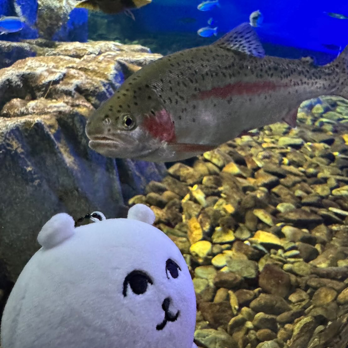 北海道弾丸ツアー🐮